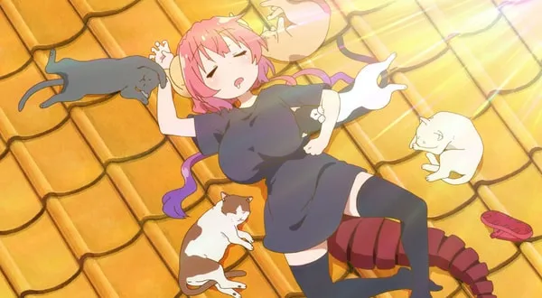 小林さんちのメイドラゴン 小林さんちのメイドラゴン」アニメポータルサイト
